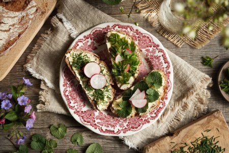 Spring wild edible plants - onion grass, garlic mustard and ground elder, on slices of sourdough bread on a red plate