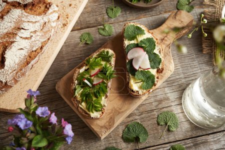 Spring wild edible plants - young garlic mustard and ground elder leaves, on slices of sourdough bread on a wooden table