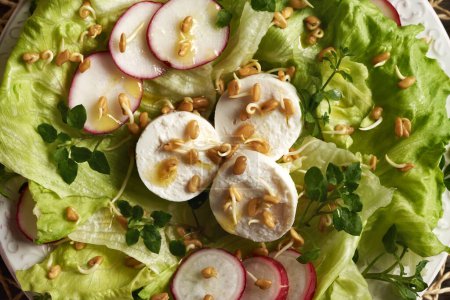 Gros plan d'une salade de légumes avec du fromage de chèvre, des germes de fenugrec et de la potamot - plante comestible sauvage récoltée au début du printemps 
