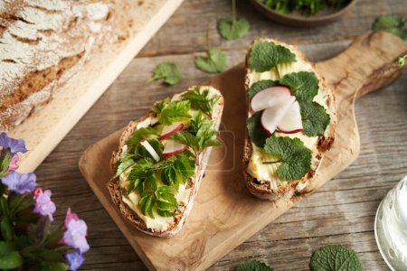 Spring wild edible plants - garlic mustard and goutweed leave, on two slices of sourdough bread