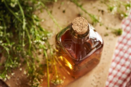 Una botella de vidrio de tintura a base de hierbas hecha de la planta del bolso del pastor en flor fresca en una mesa