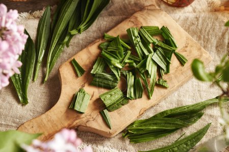 Feuilles d'ibwort plantain fraîches hachées - ingrédient pour sirop d'herbes maison contre la toux