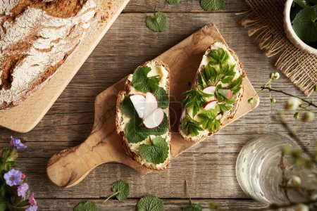 La mostaza de ajo joven y las hojas de saúco molidas - las plantas silvestres comestibles a los trozos del pan de masa fermentada a la mesa de madera