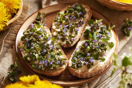 Fresh ground-ivy flowers and leaves collected in spring on three slices of sourdough bread on a plate