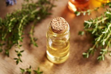 Photo for A bottle of aromatherapy essential oil with fresh thyme twigs, close up - Royalty Free Image
