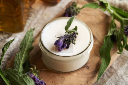 A jar of homemade comfrey ointment with fresh blooming symphytum officinale or knitbone plant