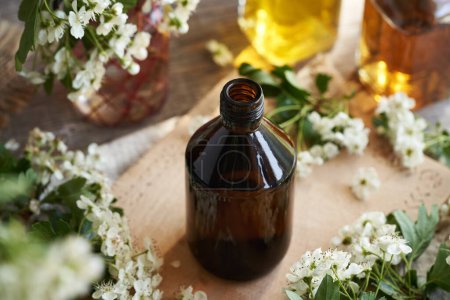 A dark bottle of herbal tincture with fresh hawthorn or Crataegus laevigata flowers in springtime