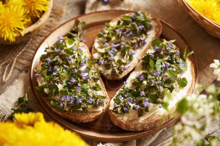 Fresh ground-ivy flowers and leaves collected in spring on slices of sourdough bread on a plate