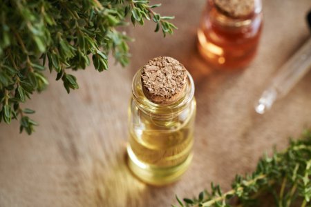 Photo for Essential oil in a glass bottle with fresh thyme - Royalty Free Image