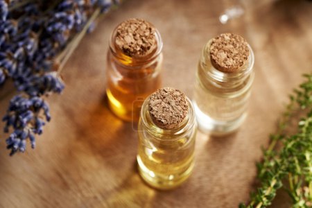 Photo for Three bottles of aromatherapy essential oil with fresh thyme and dried lavender - Royalty Free Image