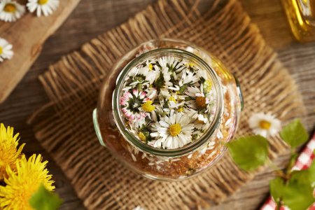 Ein Glas gefüllt mit frischen Wiesenblumen und Rohrzucker - Zubereitung von Kräutersirup, von oben