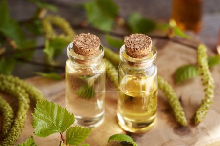 Two transparent bottles of essential oil with birch tree branches with catkins and young leaves in springtime