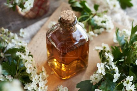 A bottle of herbal tincture with fresh hawthorn flowers on a table