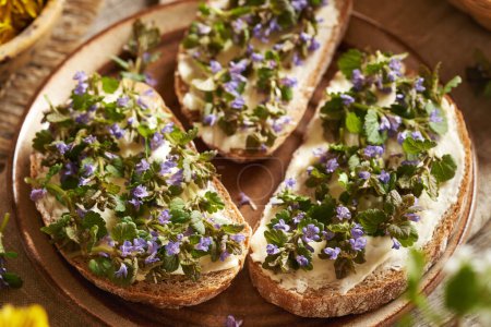 Fresh ground-ivy flowers and leaves harvested in spring on slices of sourdough bread