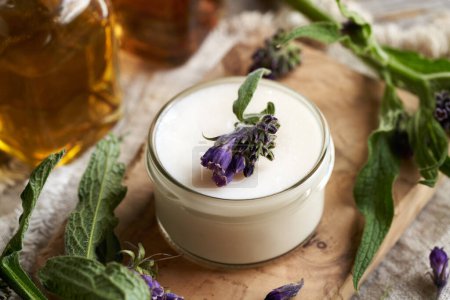 A jar of comfrey ointment with fresh blooming symphytum officinale plant