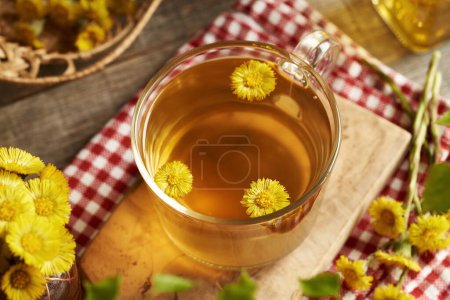 Téléchargez les photos : Une tasse de tisane avec des fleurs fraîches de coltsfoot. Médecine végétale. - en image libre de droit