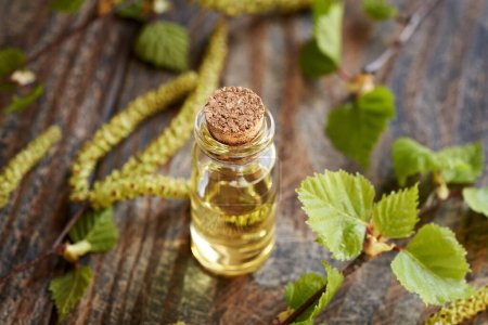 A bottle of essential oil with birch tree branches with catkins and young leaves collected in spring