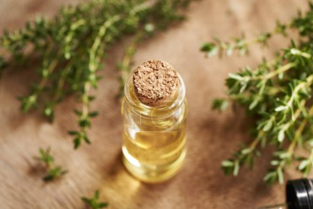 Photo for A transparent bottle of aromatherapy essential oil with fresh thyme twigs - Royalty Free Image
