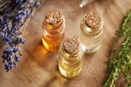 Photo for Three bottles of aromatherapy essential oil with fresh thyme and dried lavender flowers - Royalty Free Image