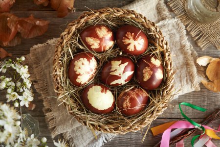 Brown Easter eggs dyed with onion peels in a wicker basket with spring flowers, top view