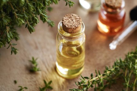 Photo for Thyme essential oil in a glass bottle on a table - Royalty Free Image