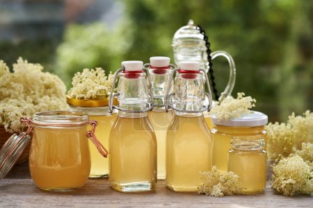 Photo for Bottles and jars of homemade elderberry flower syrup made in spring - Royalty Free Image