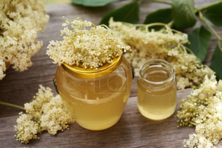 Photo for Two jars of homemade elderberry flower syrup made in spring - Royalty Free Image