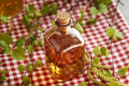 Foto de Una botella de tintura herbal gemmoterapéutica con ramas de abedul con hojas jóvenes y amentos cosechados en primavera - Imagen libre de derechos