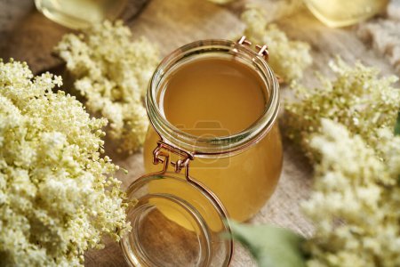 Photo for Elderberry flower syrup in a glass jar with fresh Sambucus nigra blossoms - Royalty Free Image