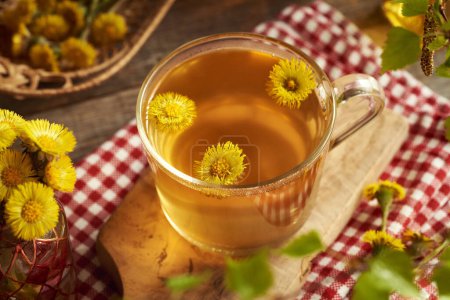 Herbal tea with fresh coltsfoot flowers on a table