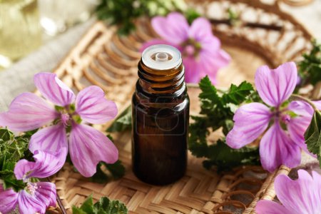 Mallow essential oil in a brown glass bottle