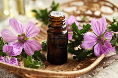 A brown dropper bottle of mallow essential oil with blooming malva sylvestris plant