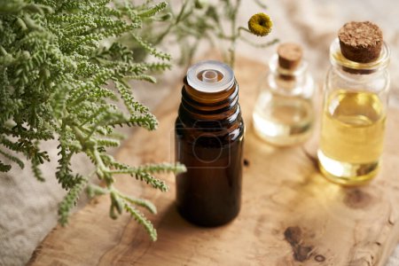 Ätherisches Öl von Santolina mit frisch blühenden Pflanzen auf einem Tisch