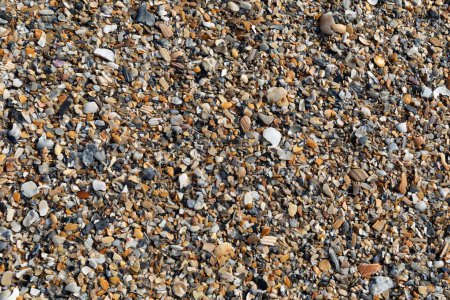 Hintergrundtextur aus kleinen und zerbrochenen Muschelstücken und Sand am Strand, Küstenort oder Ruhestand kreativer Kopierraum, horizontaler Aspekt