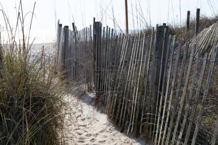 Clôture étroite et passage d'herbe marine à une plage ouverte et déserte, intimité et thèmes futurs inconnus, aspect horizontal