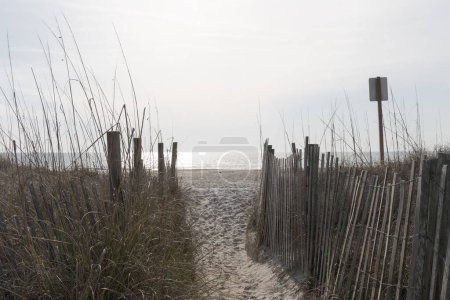 Voie étroite à travers la clôture d'érosion vers une plage ouverte déserte, possibilités infinies à l'avenir, aspect horizontal