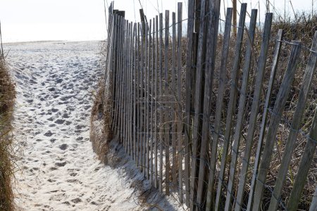 Passage à l'inconnu, sable de plage molle entre les clôtures d'érosion conduisent à un avenir incertain, rites de passage, aspect horizontal