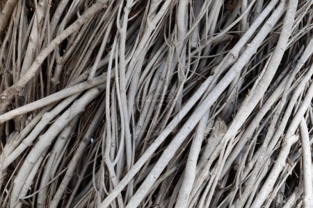 Fond naturel de bâtons tordus et empaquetés en gris blanc et noir, espace de copie créatif pour le thème de la nature, aspect horizontal