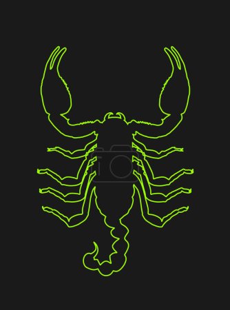 Illustration for Scorpion vector line contour silhouette illustration isolated on black background. Deadly venom animal symbol. Poison animal. Night X ray vision on desert ground. - Royalty Free Image