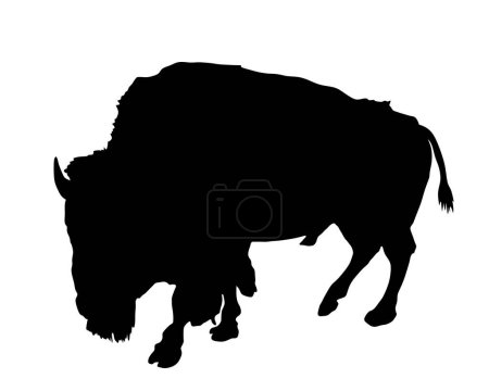 Ilustración de silueta de vector bisonte aislada sobre fondo blanco. Retrato de forma Buffalo macho, símbolo de América. Animal fuerte, cultura india.