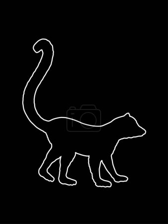 Téléchargez les illustrations : Ligne contour Lemur singe vecteur silhouette illustration isolée sur fond noir. Drôle d'animal. Anneau queue lémurien symbole. Madagascar forme de singe exotique ombre. - en licence libre de droit