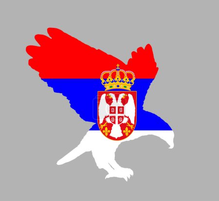 Illustration for Serbian flag over eagle bird national animal vector silhouette illustration isolated on background. Serbia patriot emblem national animal. Nature wildlife invite to outdoor travel and tourism. - Royalty Free Image