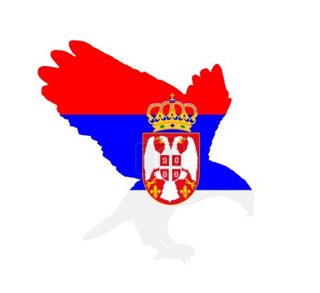 Illustration for Serbian flag over eagle bird national animal vector silhouette illustration isolated on white background. Serbia patriot emblem national animal. Nature wildlife invite to outdoor travel and tourism. - Royalty Free Image