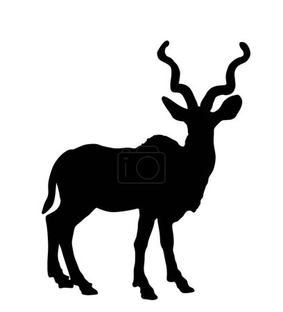 Illustration for Wild male Kudu antelope vector silhouette illustration isolated on white background. Tragelaphus strepsiceros portrait in natural habitat. Zoo attraction from Africa. - Royalty Free Image