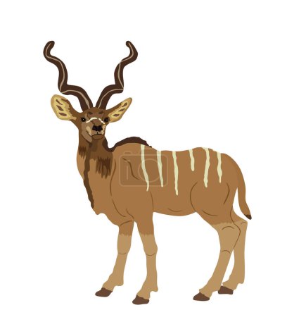 Ilustración de Wild male Kudu antelope vector illustration isolated on white background. Tragelaphus strepsiceros portrait in natural habitat. Zoo attraction from Africa. - Imagen libre de derechos
