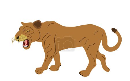 Ilustración vectorial de leona aislada sobre fondo blanco. Mujer León. Rey animal. Gran gato. Orgullo de África. Leo símbolo del zodíaco. Depredador de vida silvestre. Africano cinco grandes. puma león de montaña.