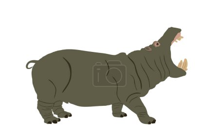 Illustration for Hippopotamus open jaws hippo vector illustration isolated on white background. Big scary animal from Africa. Wild animal symbol. - Royalty Free Image