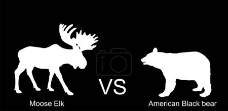 Elch gegen amerikanischen Schwarzbär Vektor Silhouette Illustration isoliert auf schwarzem Hintergrund. Kampf ums Leben, Nahrung gegen Grizzlybär und Hirschelchbock. Kräftiges Reh gegen Raubtier im Wald.