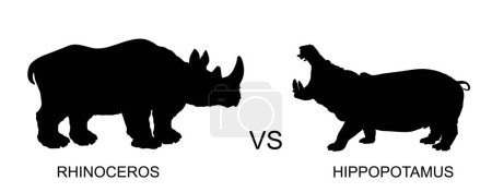 Illustration for Rhinoceros male against hippopotamus vector silhouette illustration isolated. African animal poacher alert. Safari attraction. Strong heavy opponent battle on watering place rhino vs hippo angry beast. - Royalty Free Image