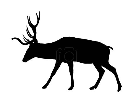 Deer Vector Silhouette Illustration, isoliert auf weißem Hintergrund. Jagdtrophäen mit vorgehaltener Waffe, wie eine Zielscheibe. Kräftige Waldtierweiden.